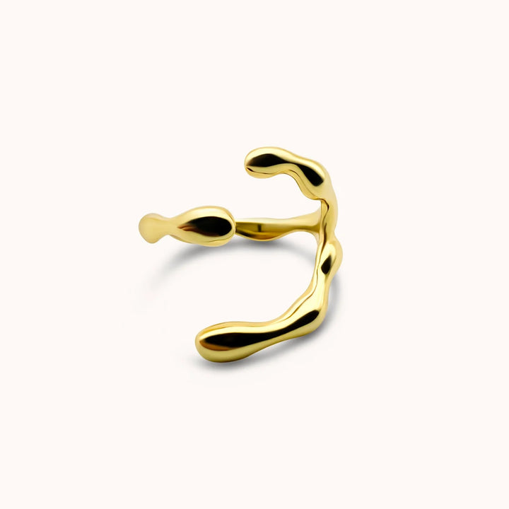 The Fluid Ring